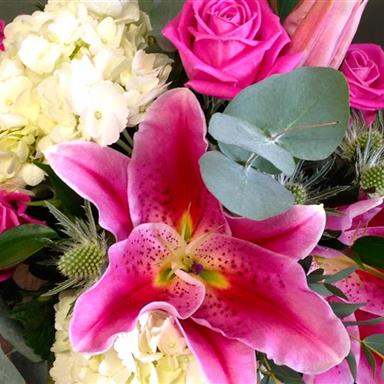 Stargazing in Pink Flower Arrangement in Bracebridge, ON - CR Flowers &  Balloons ~ A Bracebridge Florist