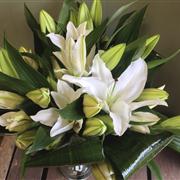 White Lillies