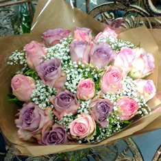 Dainty and Pretty