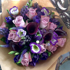 Mandy&#39;s Purple Prince