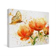 Apricot Dream