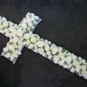 All rose cross